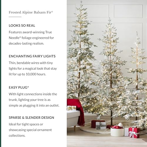 Image of Balsam Hill Frosted Alpine Balsam Fir - Snow-Kissed Artificial Christmas Tree with Pre-Fluffed Memory Wire Branches and LED Clear Fairy Lights, 6.5'