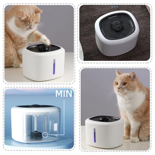 Fuente automática de agua para gatos 2.5L con luz LED miniatura 5