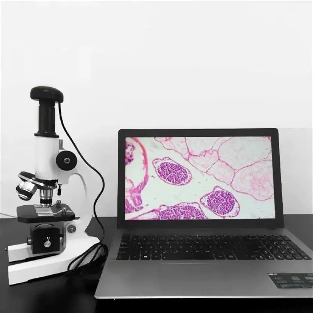 Accessori per microscopi Microscopio di Ricerca di Laboratorio for microscopio Biologico Digitale monoculare for la Scuola Domestica 640X 800X Durata e Prestazioni affidabili(with Mirror,WF16X)