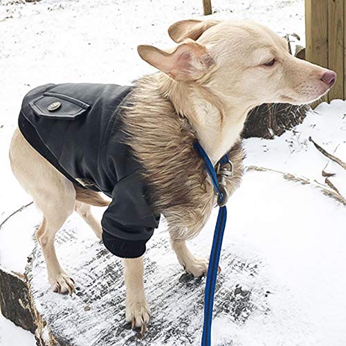 Namsan Hundemantel Hunde Jacken für Winter Warm Leder Hunde Winterjacke Wasserdicht Hundemantel für Kleine Hunde-M