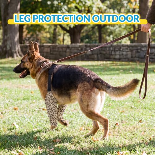 Image of ROZKITCH Dog Leg Sleeve for Front Leg Wound Cover Skin Problems Callus | Anti Licking incisions, Prevent Licking bandages, Elbow callus protection, Joint Cover, Wound coverage, Mashine Washable