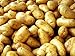 Fresh organic russet potato, premium fruits and produce vegitable, Gluten free 10lbs