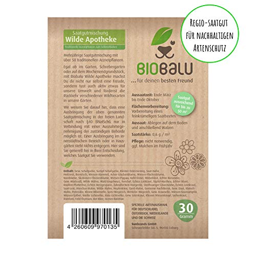 Biobalu Wilde Apotheke - 50 traditionelle Heilkräuter Samen - Bienenfreundliche Wildblumenwiese, Wildkräuter Samen… – Bild 5