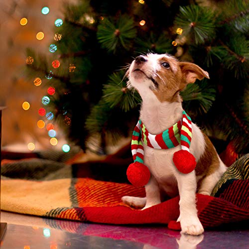 Disfraz de Navidad para perro tamaño grande miniatura 6