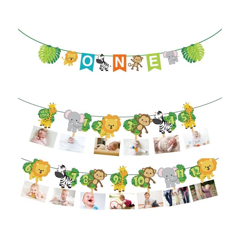 Ali's Creationz 1st Birthday Decorations For Boys Girls, Jungle Birthday Decorations, Safari Party Decorations, 1st Birthday Photo Banner, Wild One Birthday Decorations