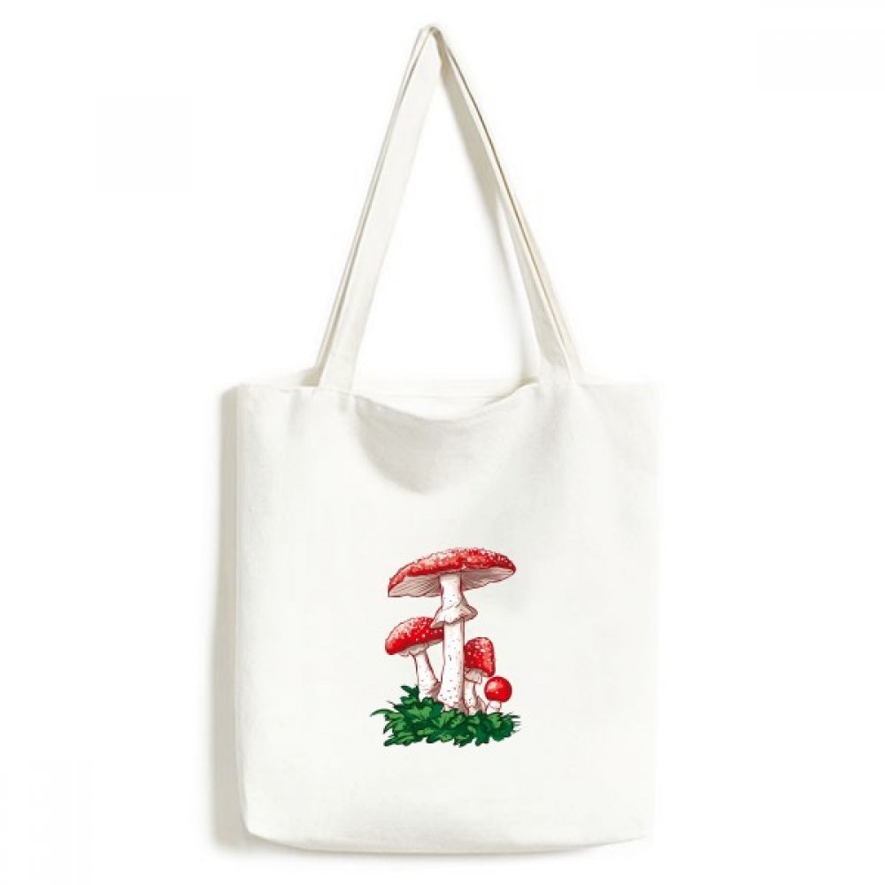 Delicious Red Poisonous Mushroom Illustration Canvas Bag Environmentally Tote Washable Craft Shopping Bags Gift