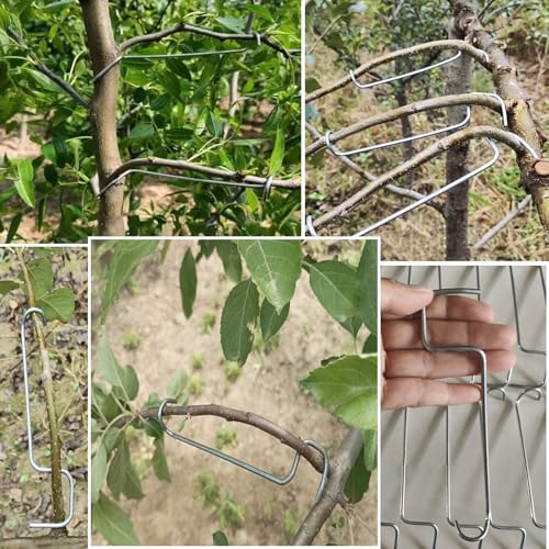 Separadores de ramas para árboles frutales 20 piezas miniatura 6