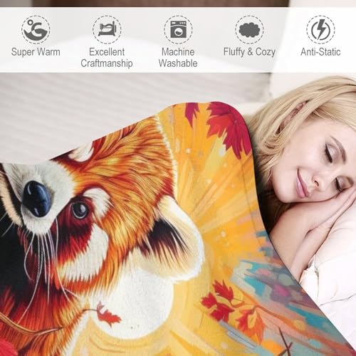 Couverture raton laveur en polaire de flannel douce de 130x150cm - 4