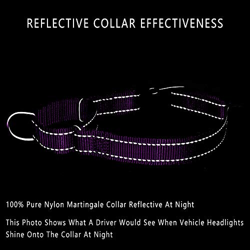 Plutus Pet Reflective Martingale Collar With Quick Snap Buckle,No Pull Dog Choker Collar For Small Medium Large Dogs,M,Purple #TOP4