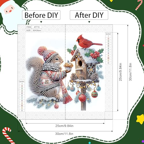 Image of 5D Special Shape Diamond Art Kits for Beginners, Diamond Art Painting Kits for Adults, Crystal Rhinestones Diamond Painting for Home Wall Christmas Decor Gift 11.8x11.8 inch, Christmas Squirrel Bird