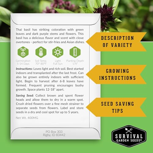 Thai Basil Seeds for Planting – Survival Garden Seeds (2 Pack) - Image 2