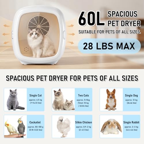 Image of 1200W High Velocity Pet Dryer Box for Cats & Small Dogs, Automatic Lonic Full-Body Fast Drying Box with 5 Temp Modes & Adjustable Wind,Low Noise Smart Soft Hair Grooming Dryer with 3 Towels(60L,White)