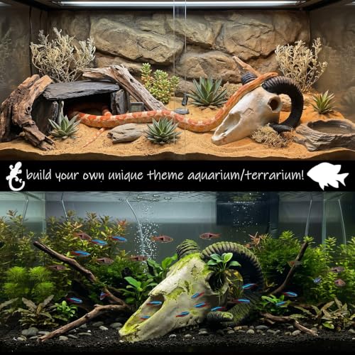 Image of Fish Aquarium Tank Hideout Decor Decorations Dinosaur Skull Fish Tank Decor Cave Skull Betta Animal Halloween Large Reptile Bones Snake for Terrarium Ornament
