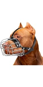 Dog Muzzle CleverTail Metal Husky Muzzle For Large Sized Dog U2013 Basket Muzzle For Dogs With Adjustable Leather Straps U2013 Steel Cage To Dog Muzzle For Small Dogs