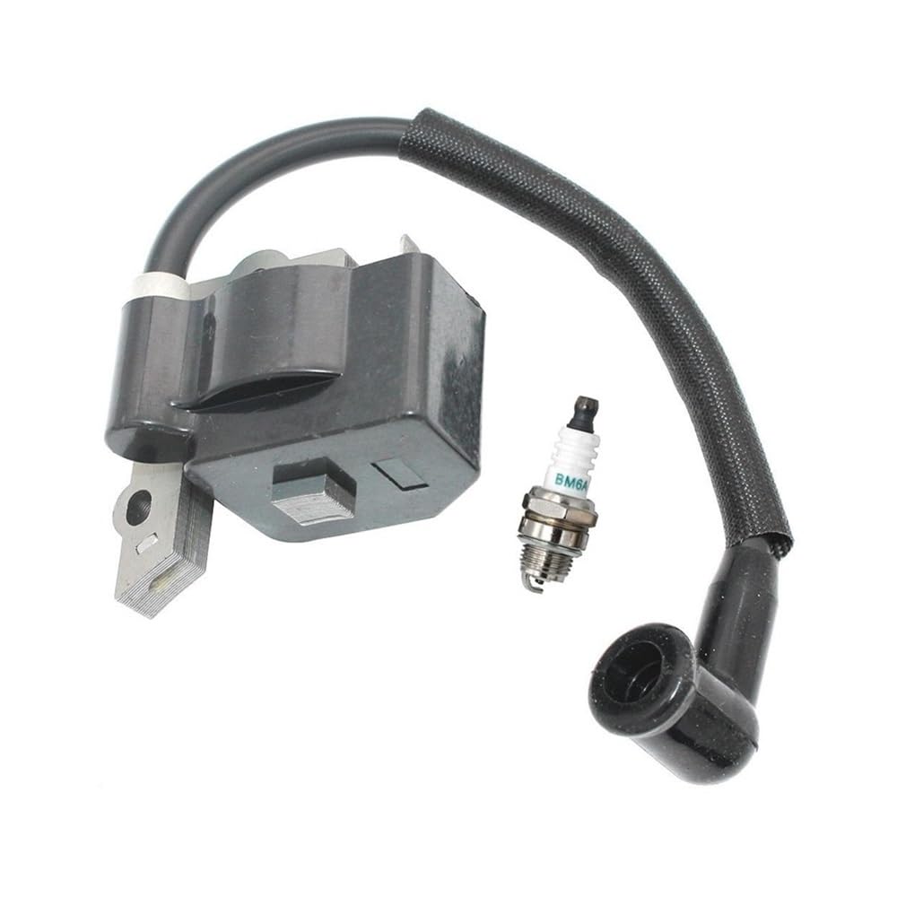 Bobina de encendido para solucionar problemas de arranque en BVM250