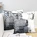 OYIMUA Gray Throw Pillow Covers 18x18,Modern Abstract Gray and White Couch Pillow Covers,Decorative Accent Pillow Cover,Square Pillow Cases for Sofa Living Room Bedroom Set of 2