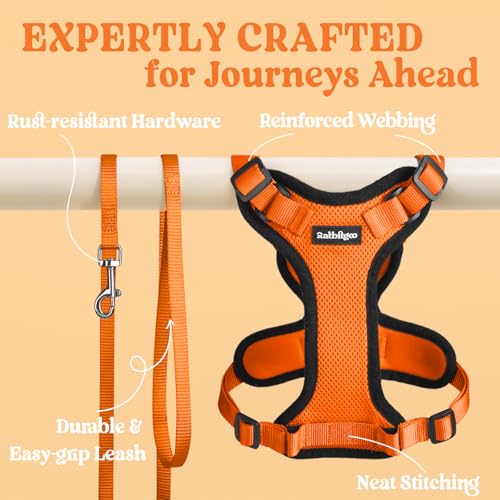 Image of rabbitgoo Cat Harness and Leash Set, Escape Proof Vest, Orange | Soft Breathable Mesh, Easy Adjustable Fit, Snap Buckles, Sturdy Clip, Reflective Strips, for Medium to Large Cats Walks, M
