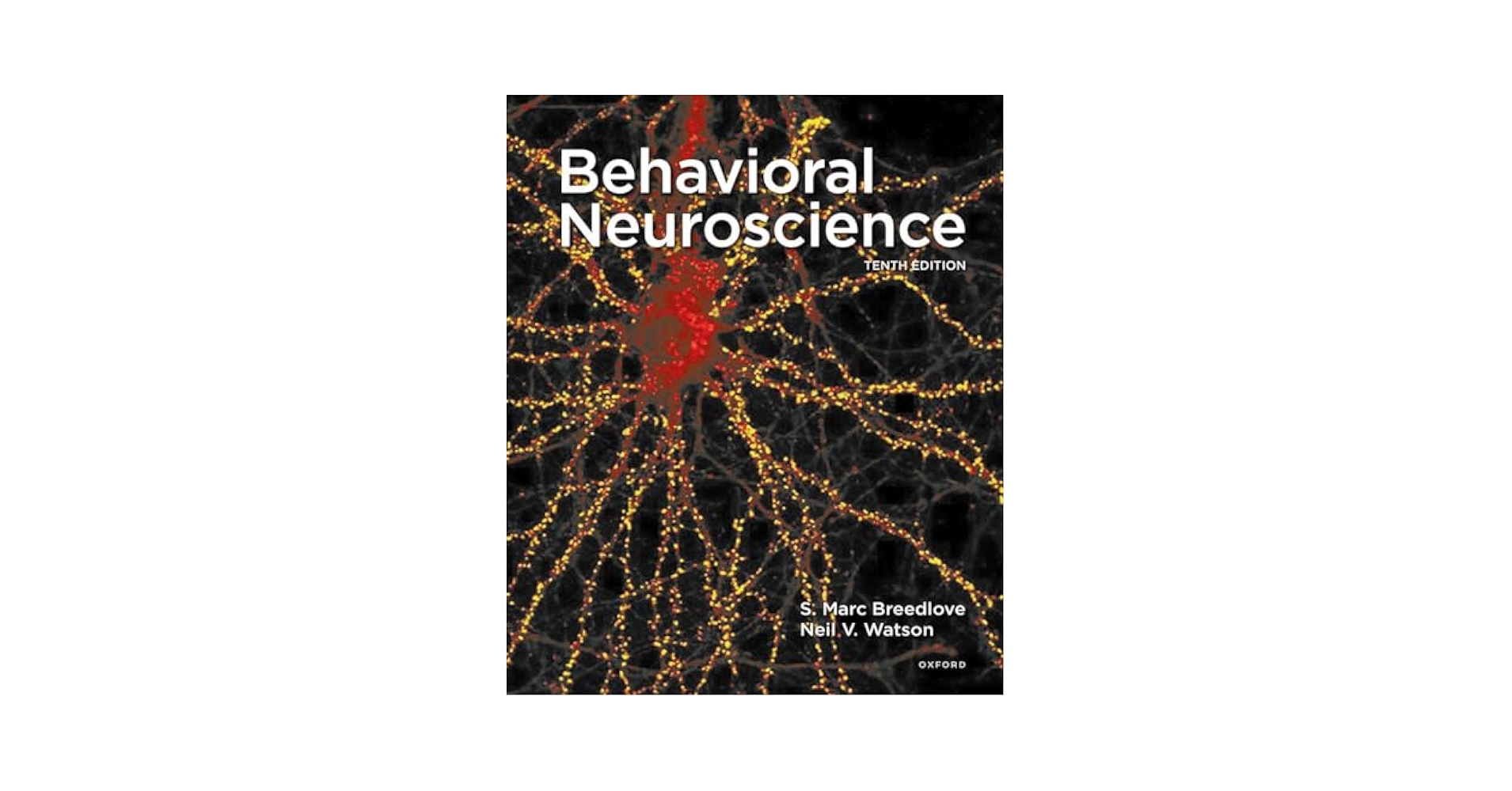 洋書 the neurobiology of brain and behavioral 洋書 the neurobiology of brain and behavioral 洋書 the