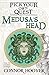 Medusa's Head: A Pick Your Own Quest Adventure