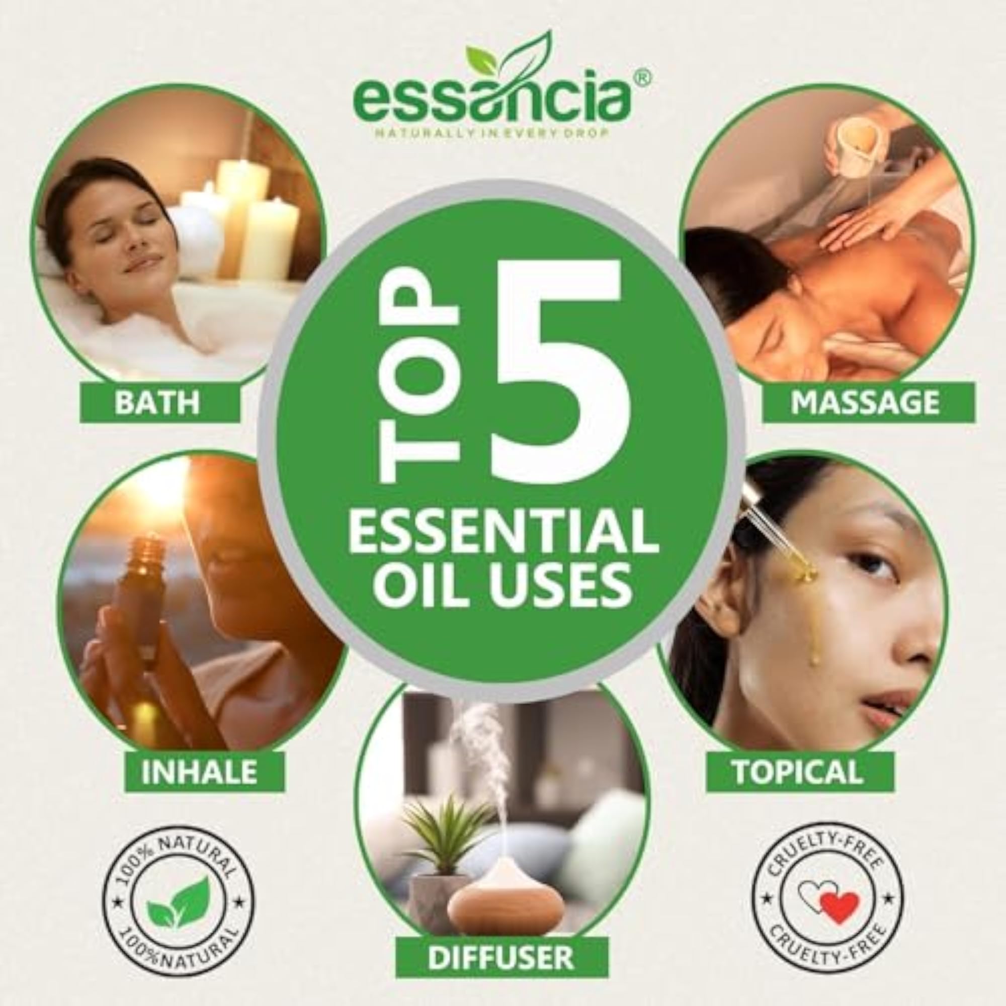 Essential Basil Oil for Mental Clarity & Aromatherapy, 15ml