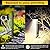 Gardencoin 3CCT LED Low Voltage Landscape Pathway Light Wired, 3000K/4000K/5000K Selectable, Higher Modern Walkway Lights Outdoor, Die-Cast Aluminum Housing with Big Ground Stake (19.7IN, 4 Pack)