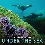2026 Under the Sea 12' x 12' Square Hanging Wall Calendar with Stunning Underwater Sealife Photography - No Plastic, Environmentally Friendly. Daily, Weekly, Monthly 12 Month Planner