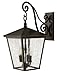 Hinkley Outdoor Trellis Sconce in Regency Bronze