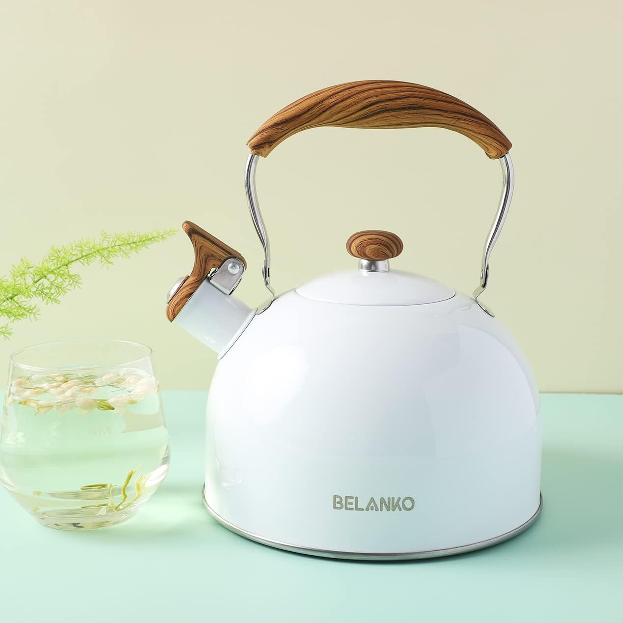 BELANKO Whistling Tea Kettle Stovetop, SurgicalGrade
