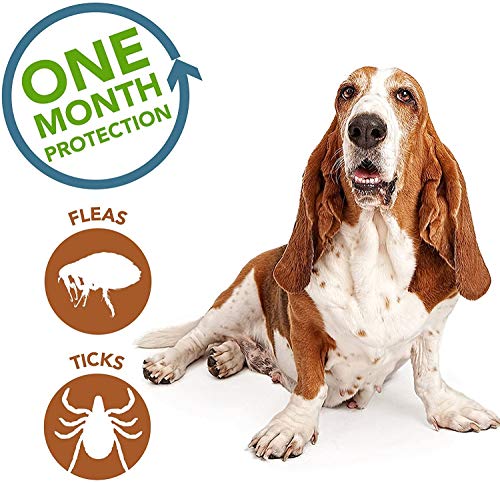 Medfly-Healthcare-Medfly-Parashield-Plus-Spot-On-Solution-For-Ticks-And-Fleas-Dog-Up-To-10-Kg-Pack-Of-2