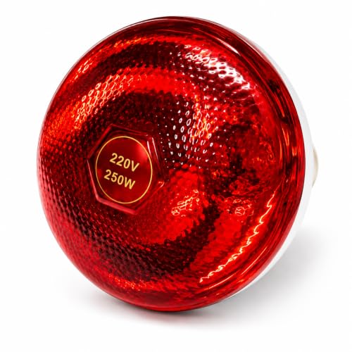 SAFURE Infrared Heat Lamp 250W Bulb for Pain Relief & Poultry Heating | Deep Heat Therapy Lamp for Muscle Recovery, Joint Comfort, Blood Circulation Support, Chick Brooder, Pet & Animal Warming