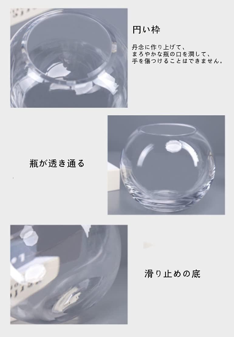 Amazon | 【おしゃれ金魚鉢】ガラス製 円形水槽セット｜メダカ・金魚