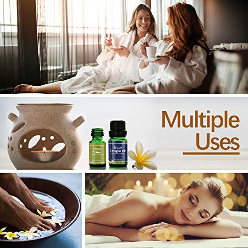 Woody Essential Oils, Esslux Premium Aromatherapy Gift Set with Pine, Camphor, Vetiver, Agarwood, Juniper Berry, Douglas Fir Essential Oils for Diffuser, Massage, Winter Home Fragrance, Candles Making