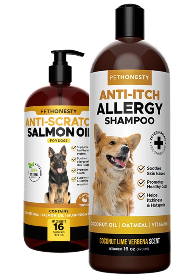 What Shampoo Can U Use On Dogs