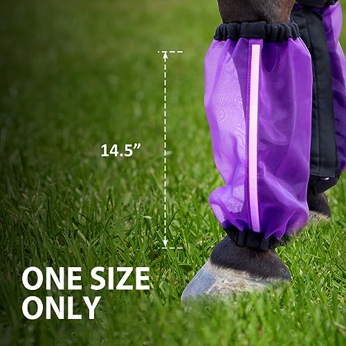 Image of Universal Size Horse Leggings Fine Mesh Horse Fly Boots Greatly Reduce Stomping Breathable Horse Boots Leg Wraps (Set of 4) Purple