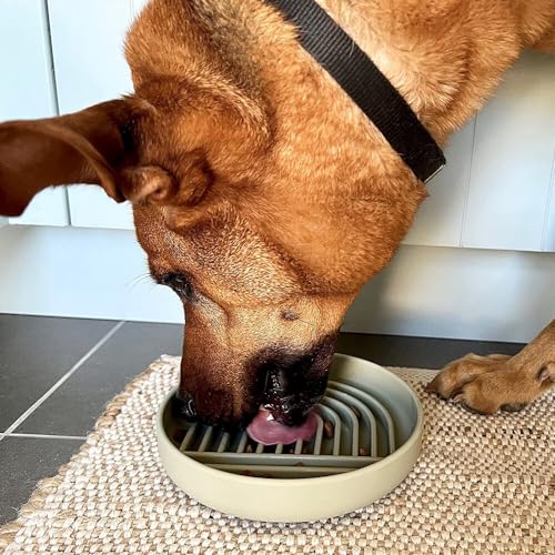 Hwtcjx Anti Schling Napf für Hunde und Katzen, Slow Feeder, Leckmatte Hund mit Großem Saugnapf, Schleckmatte Katze für Nassfutter und Trockenfutter, Mit Reinigungsbürste (Grün)