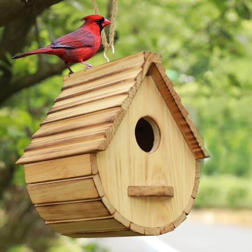 STARSWR-Bird-House-for-OutsideBird-Houses-Outdoor-Natural-Wooden-Bird-House-Clearance-Bluebird-Finch-Cardinals-Hanging-Birdhouse-for-Garden-Viewing STARSWR Bird House for OutsideBird Houses Outdoor Natural Wooden Bird House Clearance Bluebird Finch Cardinals Hanging Birdhouse for Garden Viewing