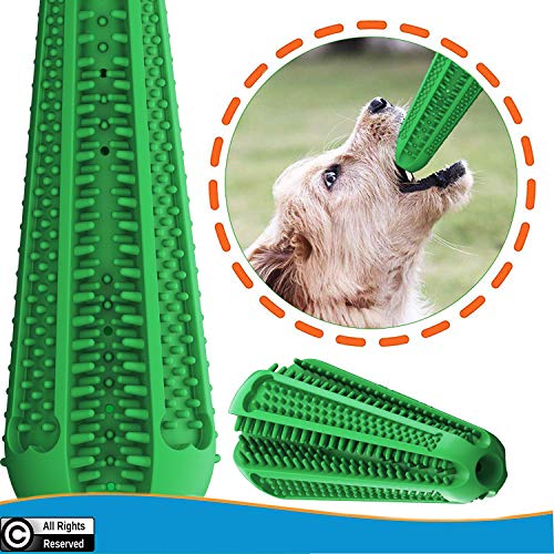 dog teeth cleaning toy