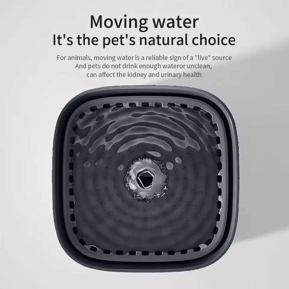 Image of Pet Water Fountain Super Silent - Water Fountains for All Pets Indoor - Suitable for Cats, Birds, Rabits and Dogs (Anthracite Grey, 3L)
