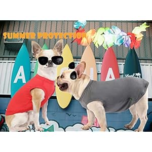 Dog Blank Quick Dry Shirtslightweight Stretchy Summer Solid Dogs Cats Clothessleeveless Cool Sweater for Small Boy Girl Breedredgreyxs  Cucciolini Doodles Dog blank quick dry shirtslightweight stretchy summer solid dogs cats clothessleeveless cool sweater for small boy girl breedredgreyxs   cucciolini doodles