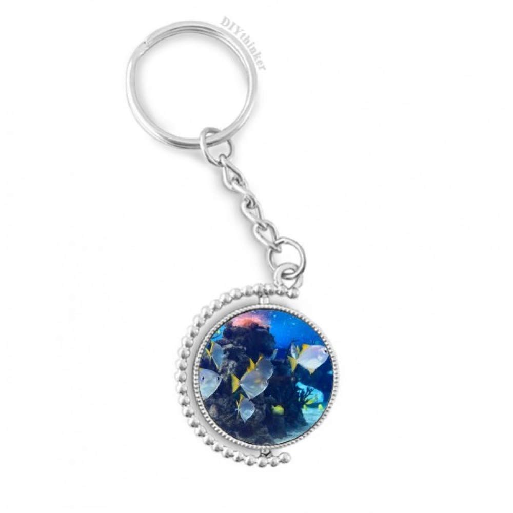 Anillo de la cadena para llaves de casa con diseño científico de peces 4