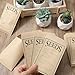 30 Pcs Seed Saving Envelopes Reusable Seed Kraftpaper Storage Organizer Packets Envelopes for Flower Vegetable Plants Seeds Saving & Collecting 5.51 x 3.15 Inch