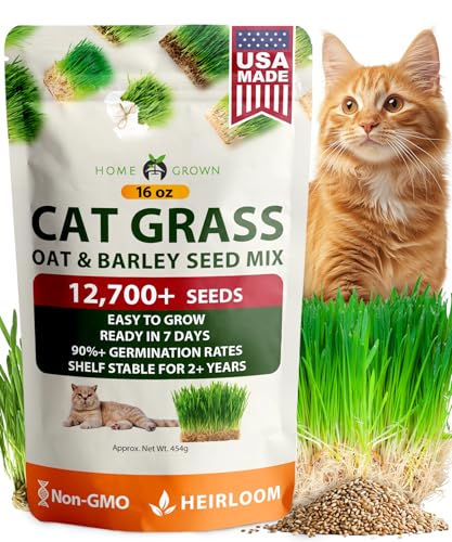 HOME GROWN Non GMO 1 Pound Cat Grass 12 700+ Seeds & Kittens Oat & Barley Mix 100% Heirloom Grow Fresh Kitty for Chewing Pet Indoor Garden