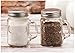 Circleware Glass Mini Mason Jar Mug Salt and Pepper Shakers with Handles & Metal Lids, Kitchen Glassware Preserving Containers, Perfect Himalayan Seasoning Spices, 2-Piece Set, 5 oz, Clear, Silver