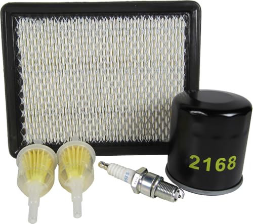 Club Car DS Gas Golf Cart Tune Up Kit 1992-Up 290Cc Ohv