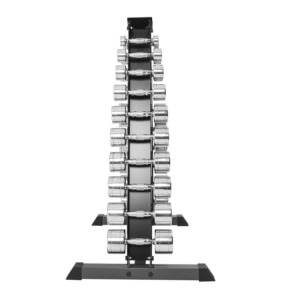 Rastrelliera Porta Manubri a Piramide in Acciaio, Stand Verticale Salvaspazio per Palestra e Home Gym