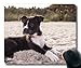 Yanteng Gaming mouse pad tappetino per mouse per mac e windows gamer Cucciolo di cane che gioca palla Sand Beach Pet Canine per donna/uomo / bambino venduto