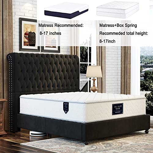 Jocisland King Bed Frame Upholstered Bed Sleigh Headboard Velvet Tufted Diamond Button/No Box Spring Needed/Easy Assembly/Black #TOP5