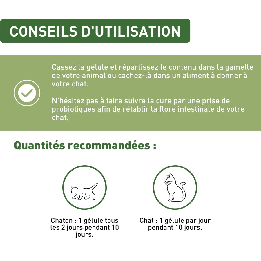 Hygiène intestinale - Confort intestinal - 20 gélules - levure de bière - 3 extrait végétaux - Complément Alimentaire - Chat et Chaton - Fabriqué en France