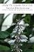 How to Grow and Use Salvia Divinorum: A Guide to Growing and Using The Sage of the Seers (Growing and Using Shamanic Plants)