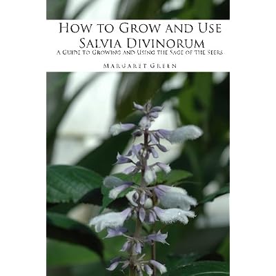 How to Grow and Use Salvia Divinorum: A Guide to Puerto Rico | Ubuy